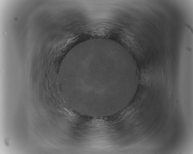 X0000102831297200808251124