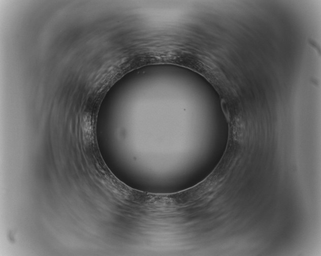 X0000102831298200808251124