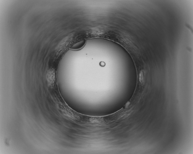 X0000102831299200808251124