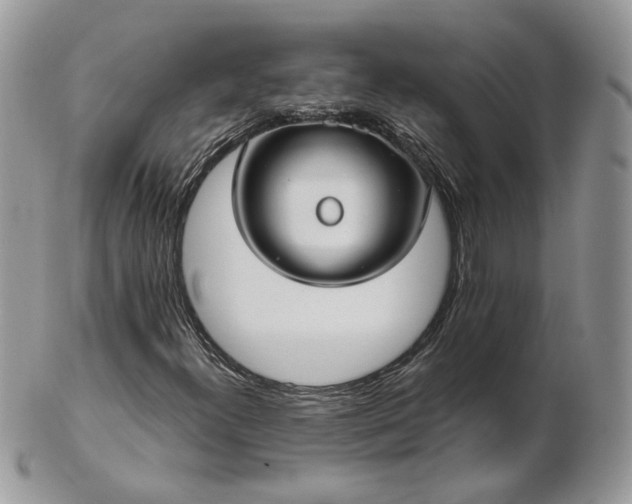 X0000102831300200808251124