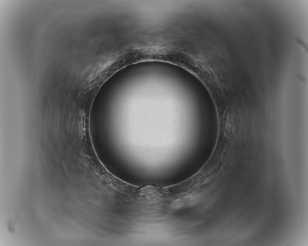 X0000102831301200808251124