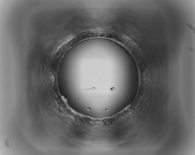 X0000102831302200808251124