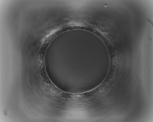 X0000102831303200808251124