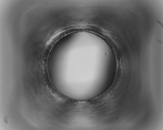 X0000102831304200808251124