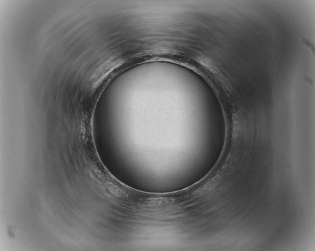 X0000102831305200808251125