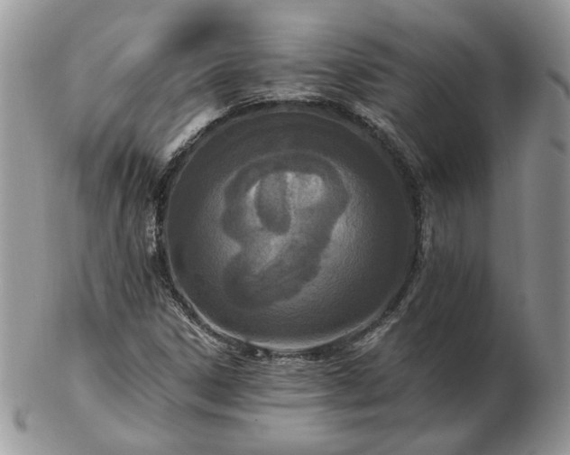 X0000102831306200808251125