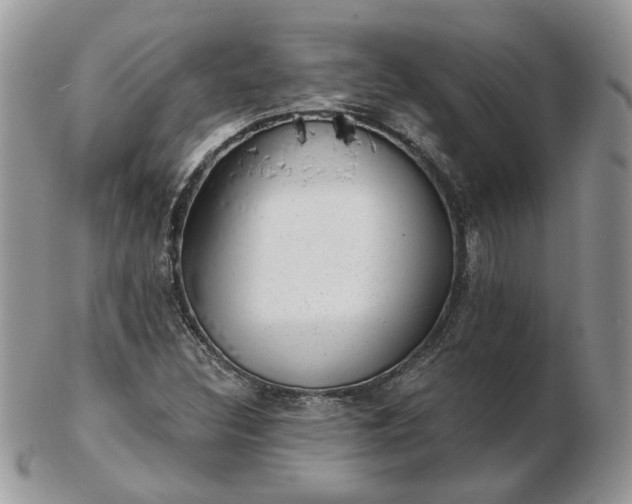 X0000102831308200808251125