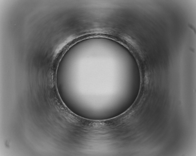 X0000102831310200808251125