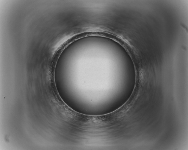 X0000102831311200808251125