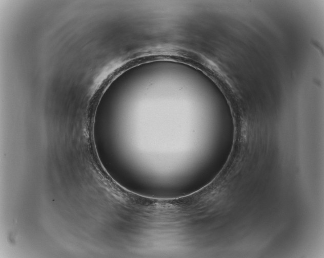 X0000102831312200808251125