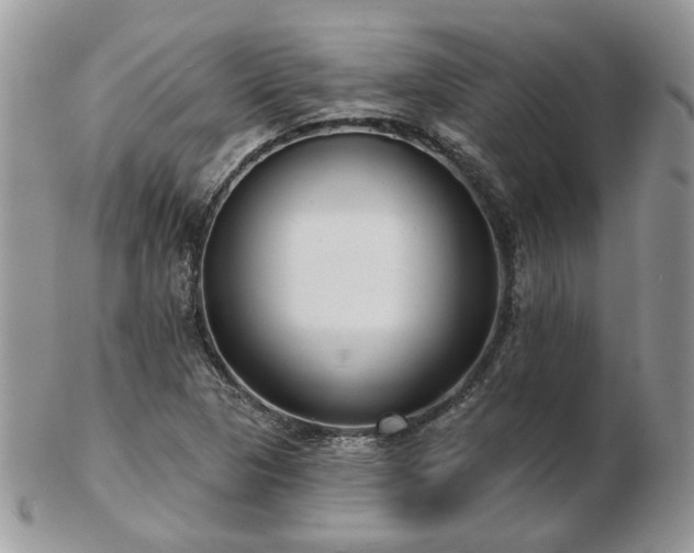 X0000102831313200808251125