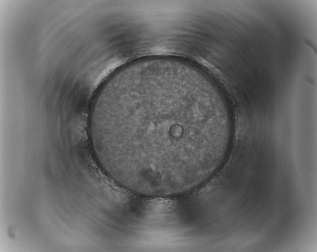 X0000102831314200808251125