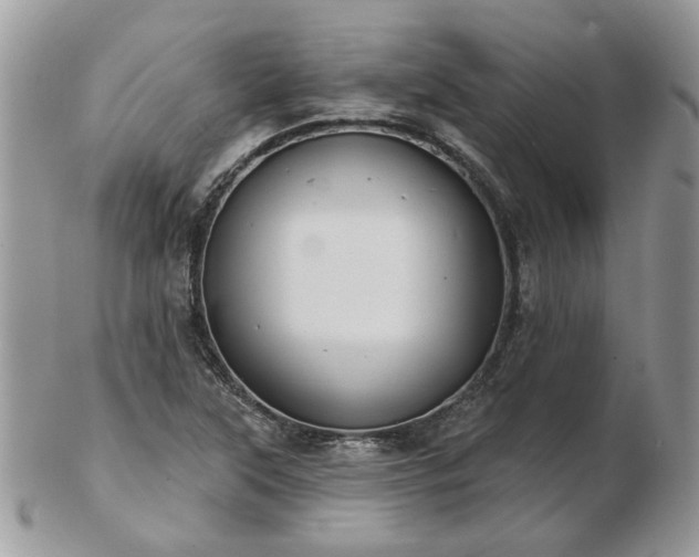 X0000102831315200808251125