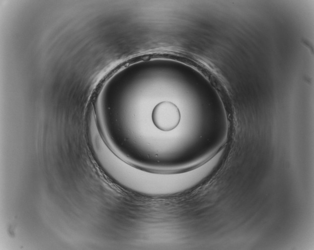 X0000102831316200808251125