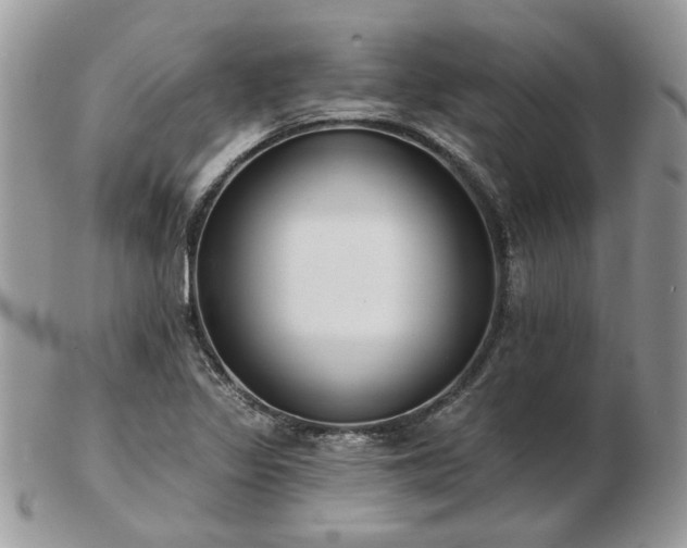 X0000102831317200808251125