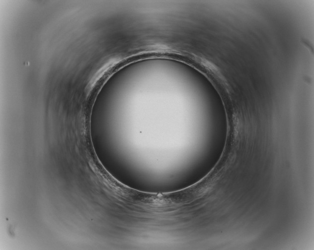 X0000102831318200808251125