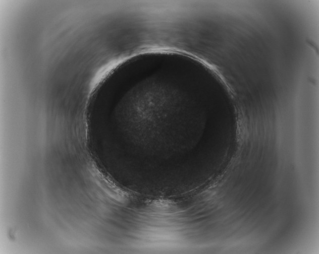 X0000102831319200808251125