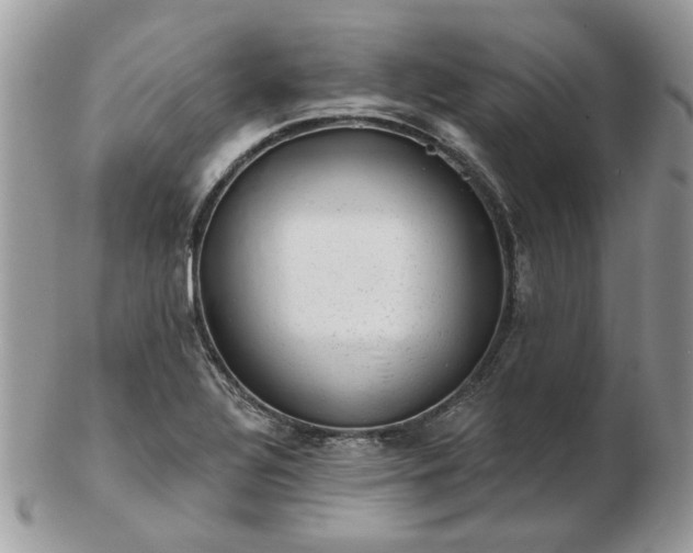 X0000102831320200808251125