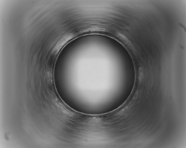 X0000102831321200808251125