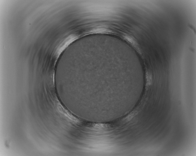 X0000102831322200808251125