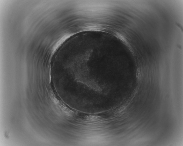 X0000102831323200808251125