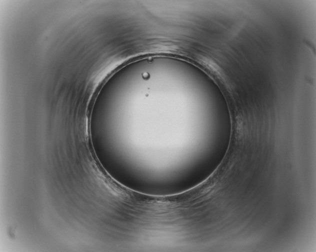 X0000102831324200808251125