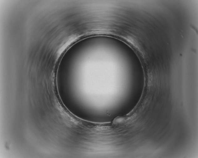 X0000102831325200808251125