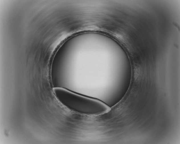 X0000102831326200808251125