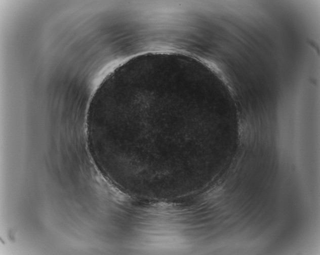 X0000102831327200808251125