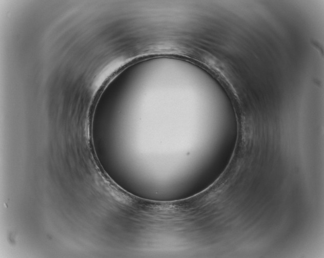 X0000102831328200808251125