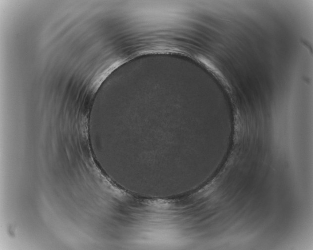 X0000102831329200808251125