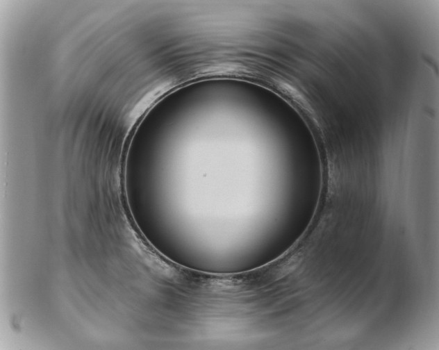 X0000102831330200808251125