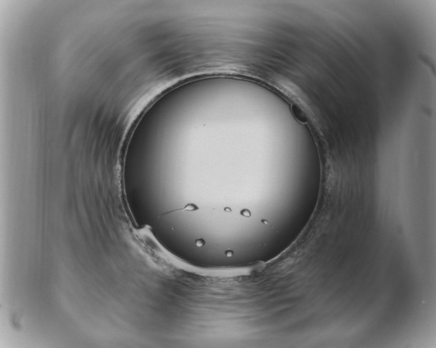 X0000102831332200808251125