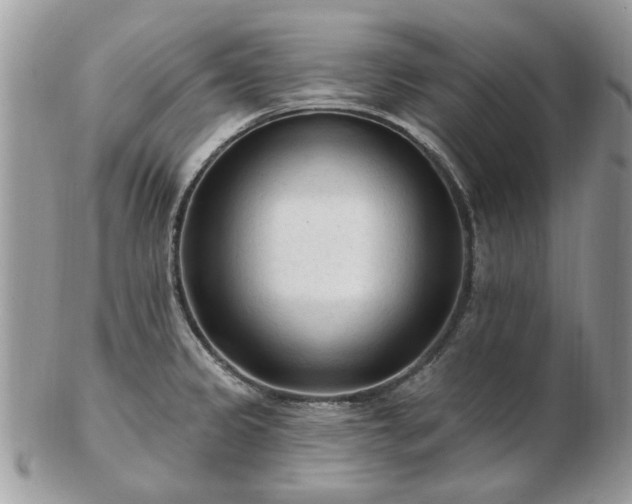 X0000102831333200808251125