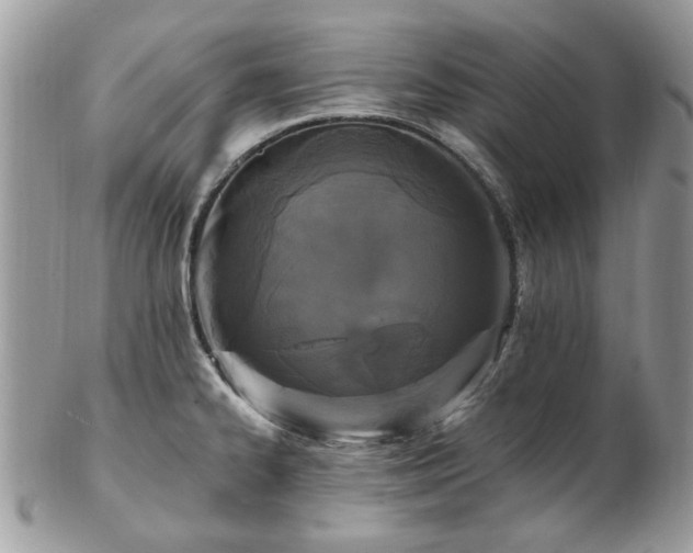 X0000102831334200808251125