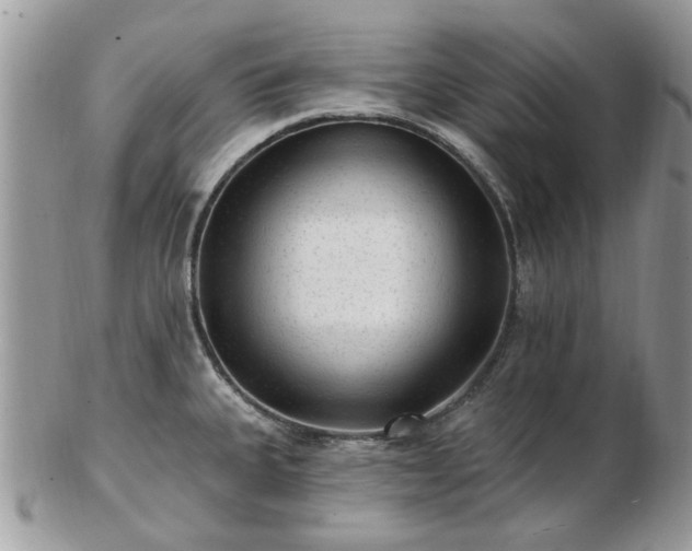 X0000102831335200808251125