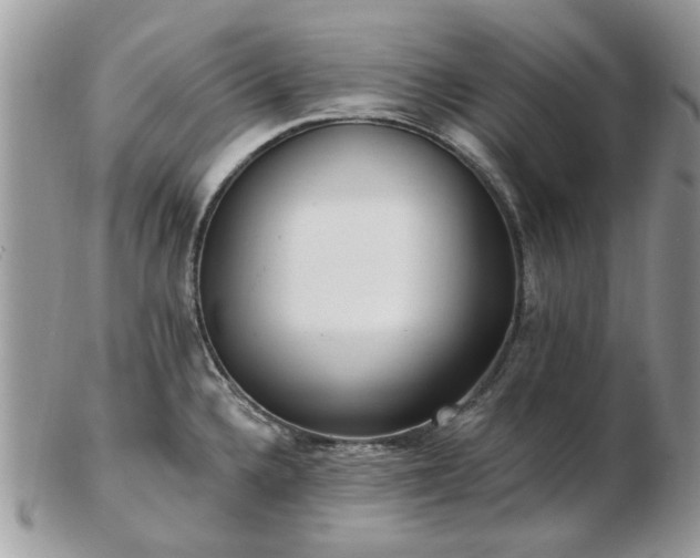 X0000102831336200808251125