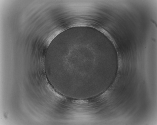 X0000102831337200808251125