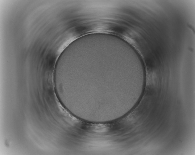 X0000102831338200808251125