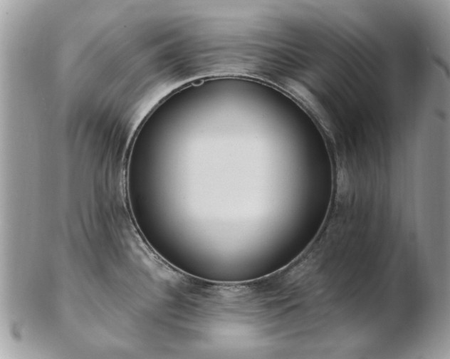 X0000102831340200808251125