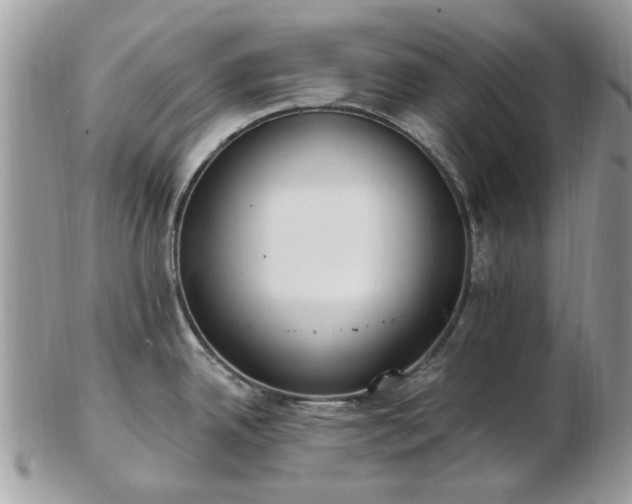 X0000102831342200808251125