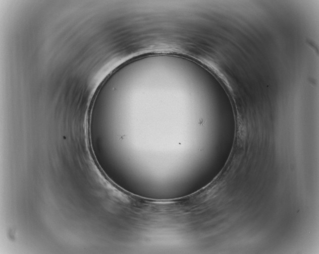 X0000102831343200808251125