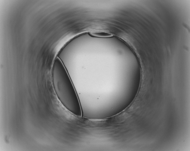 X0000102831344200808251125