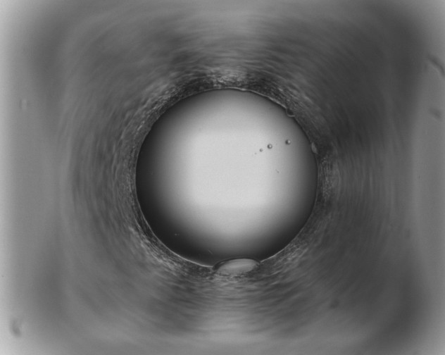 X0000102831345200808251124