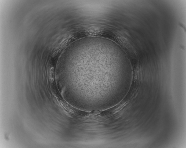 X0000102831346200808251124