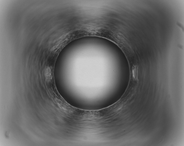 X0000102831347200808251124