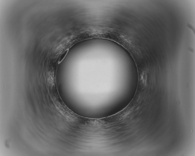 X0000102831348200808251124