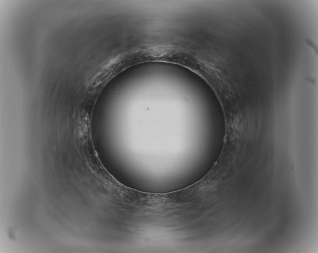 X0000102831349200808251124