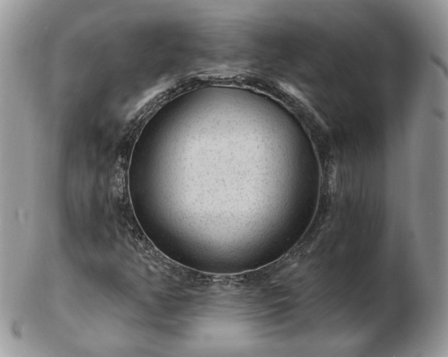 X0000102831350200808251124