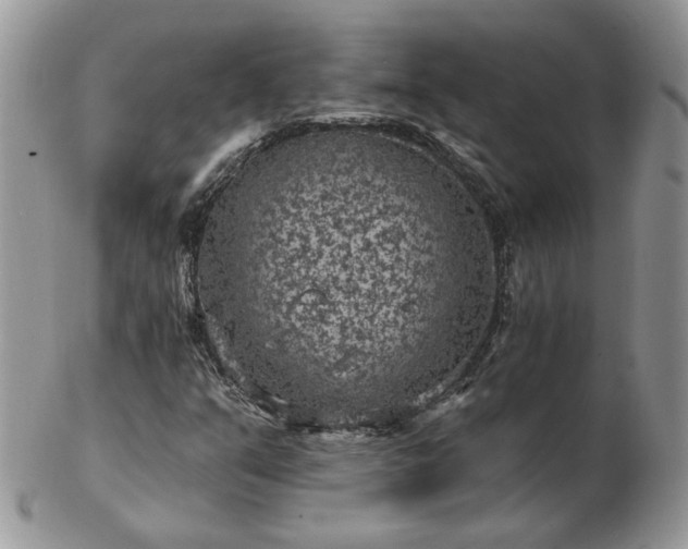 X0000102831351200808251124